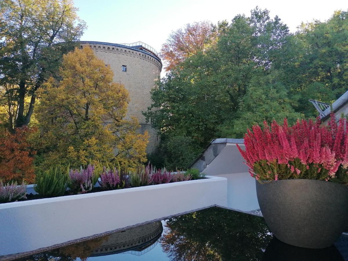 Apartment Serenade Am Zwinger Гослар Екстериор снимка